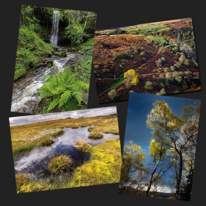 Wild Places (pack 2)