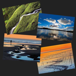 Great Outdoors greeting card set (3)