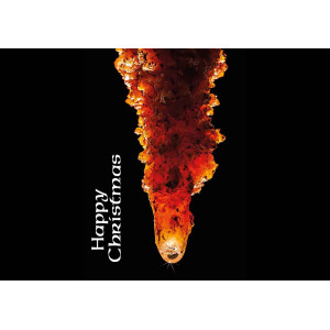 Christmas cards: caving
