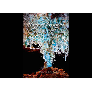 Christmas cards: caving