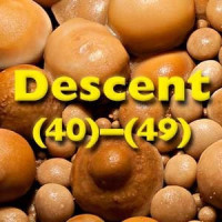 (40)-(49)