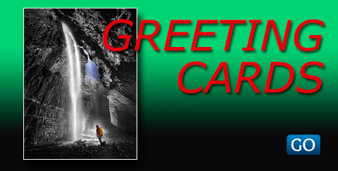Cards